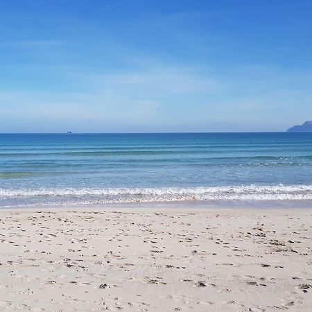 Ideal Property Mallorca - Cittadini 37 Alcudia  Ngoại thất bức ảnh