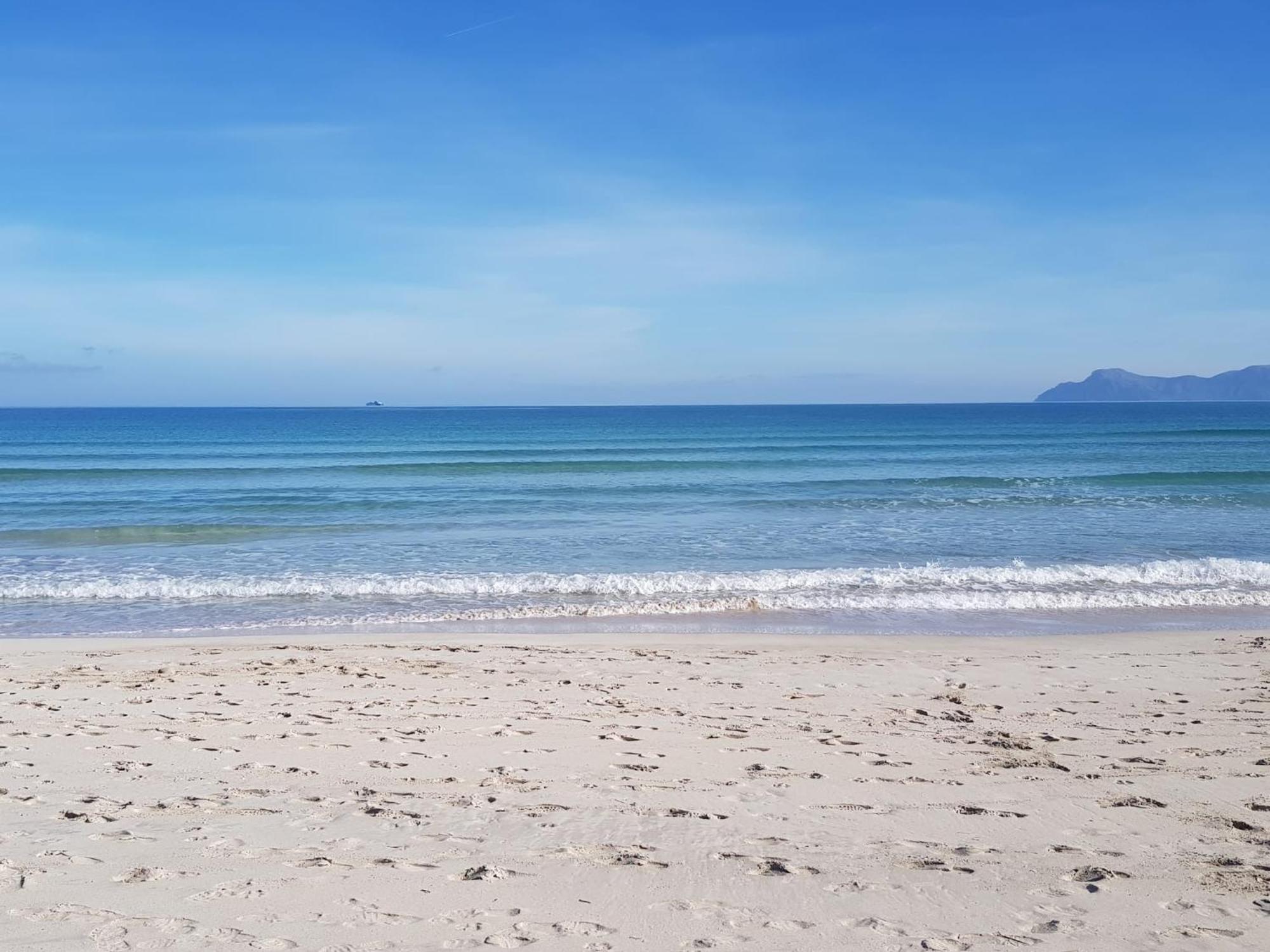 Ideal Property Mallorca - Cittadini 37 Alcudia  Ngoại thất bức ảnh